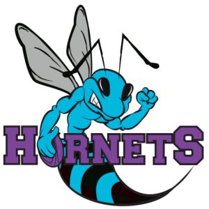 hornets new 2014